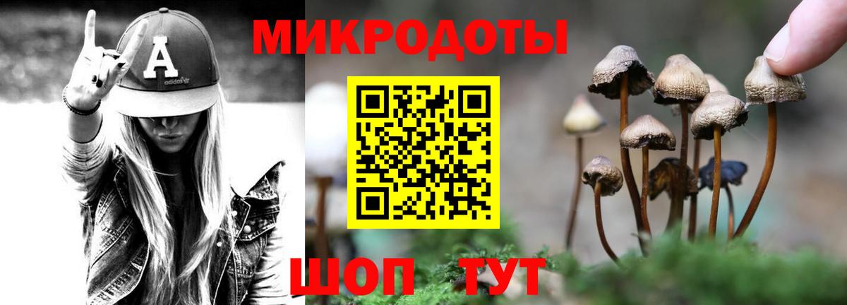 Псилоцибиновые грибы Cubensis Алапаевск