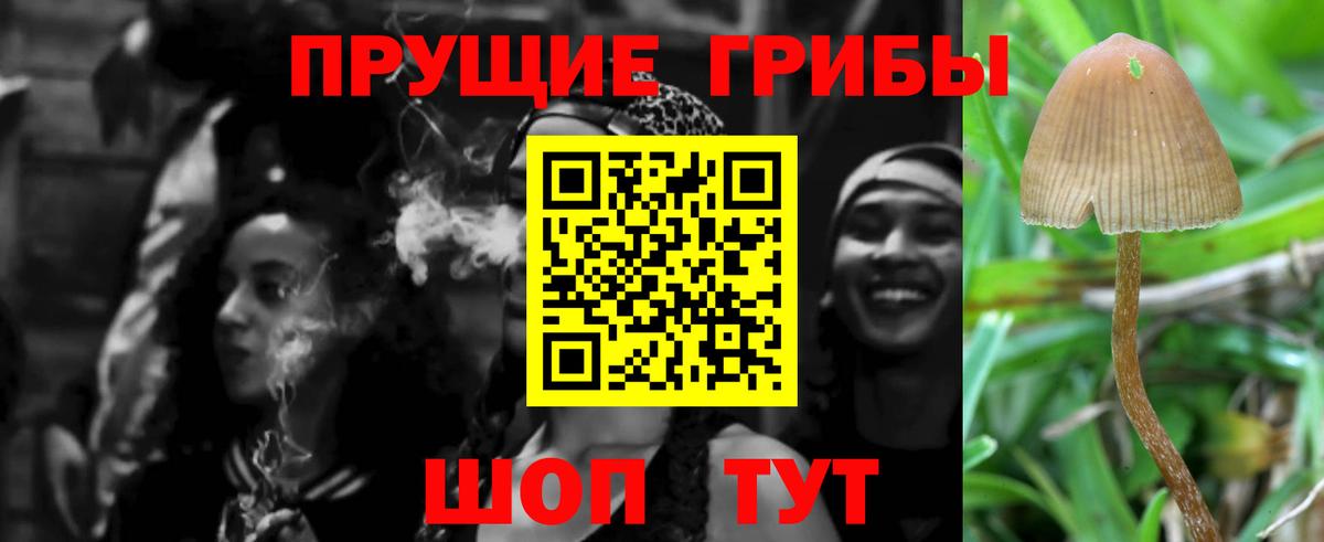Галлюциногенные грибы MAGIC MUSHROOMS  Галлюциногенные грибы Magic Shrooms  Алапаевск  Вход с VPN 
